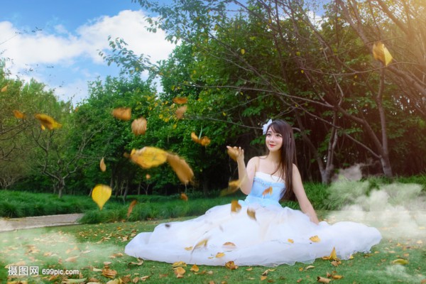 黑蜂雪蜜：神奇之蜜，视力守护神